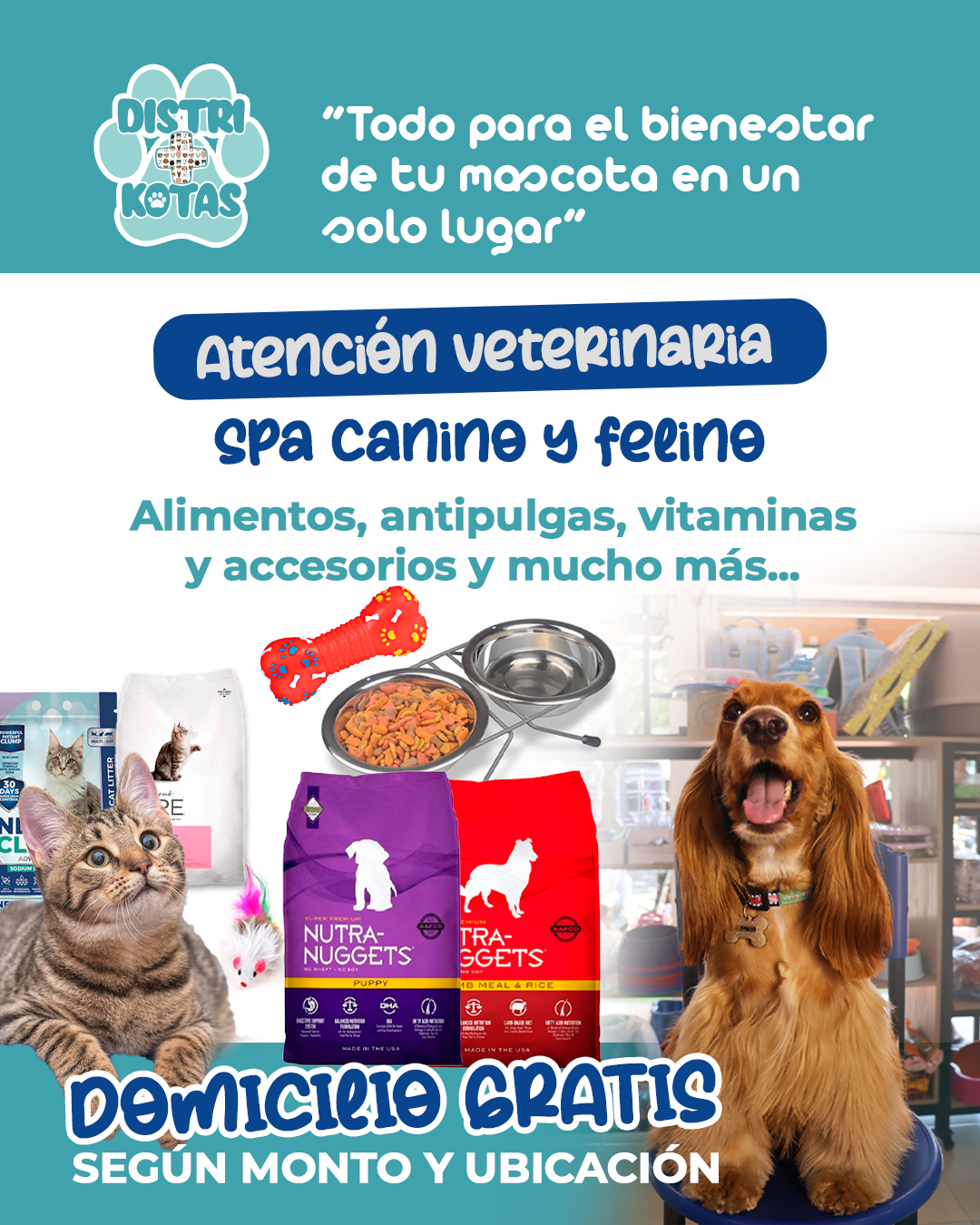 Distri+kotas Facebook ad: ¡Compra fácil, rápido y con domicilio GRATIS!