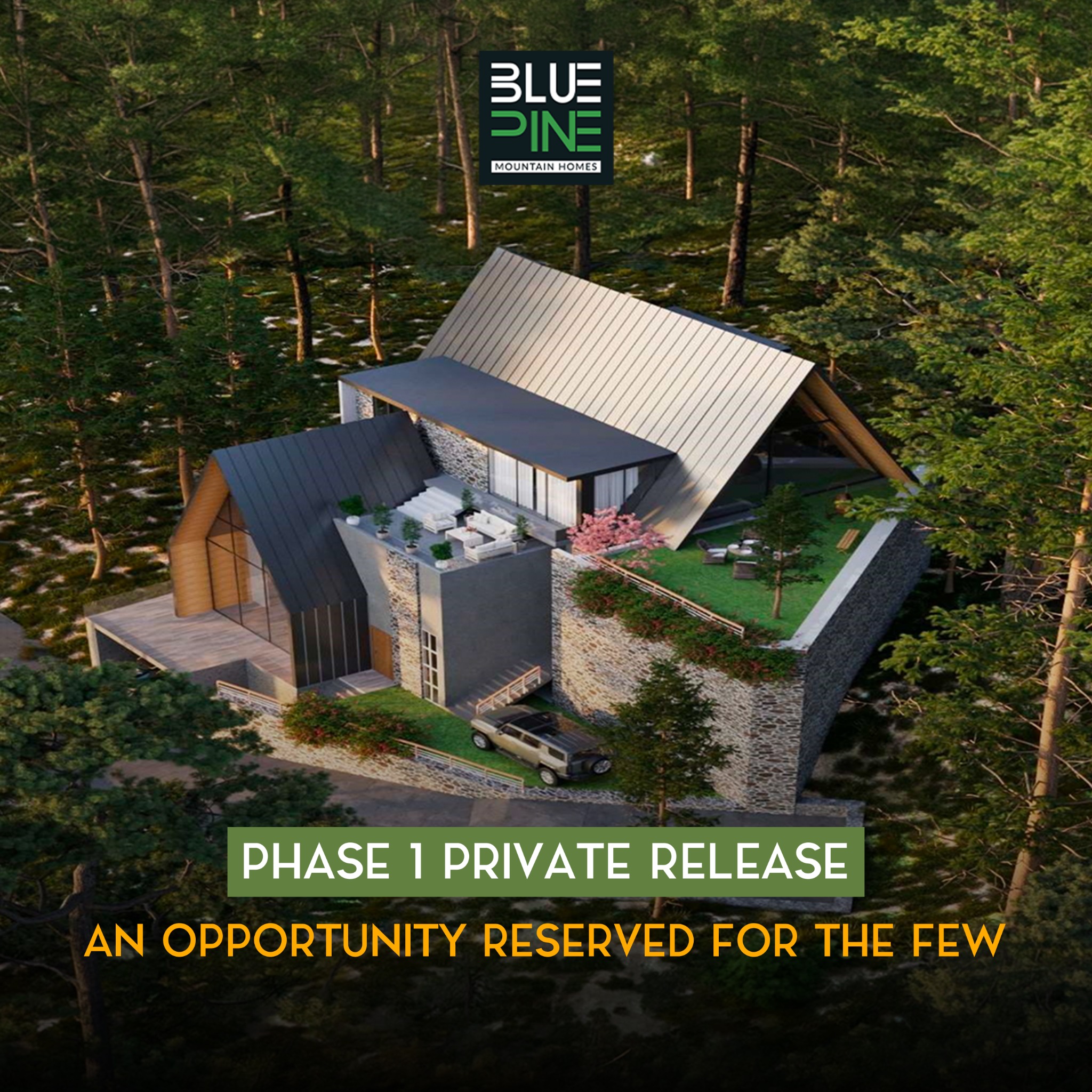 Blue Pine Mountain Homes Facebook ad