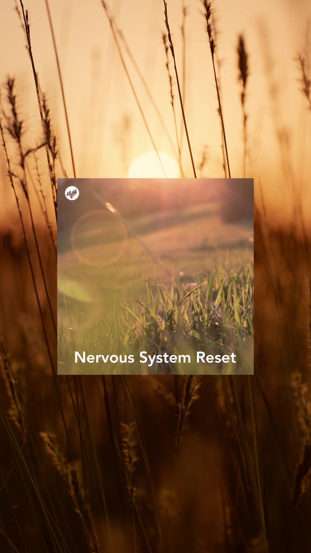Echoes Blue Music Facebook ad: Soothing ambient music for deep nervous system regulation.