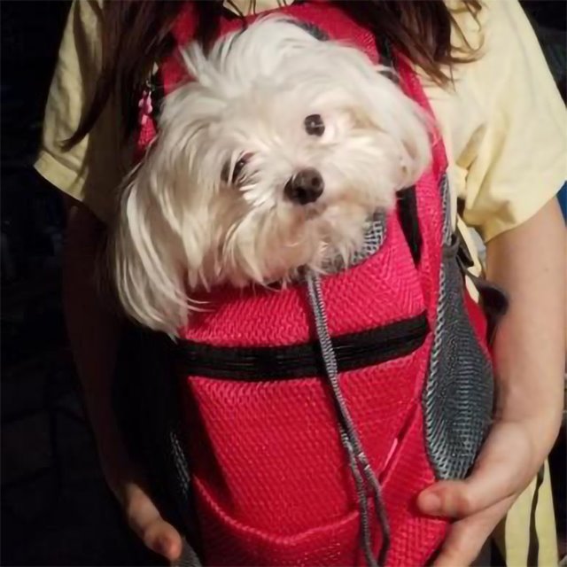 Depawtment Facebook ad: 20% OFF - This Week Only!