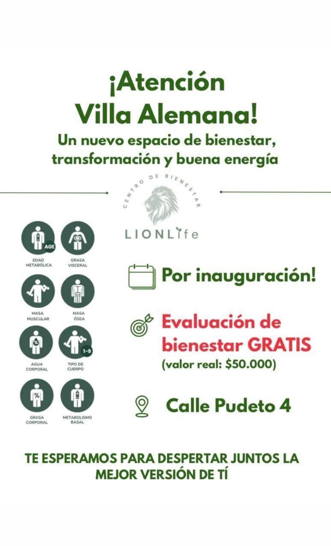 𝙇𝙞𝙤𝙣 ʟɪꜰᴇ Facebook ad: ATENCIÓN Villa Alemana