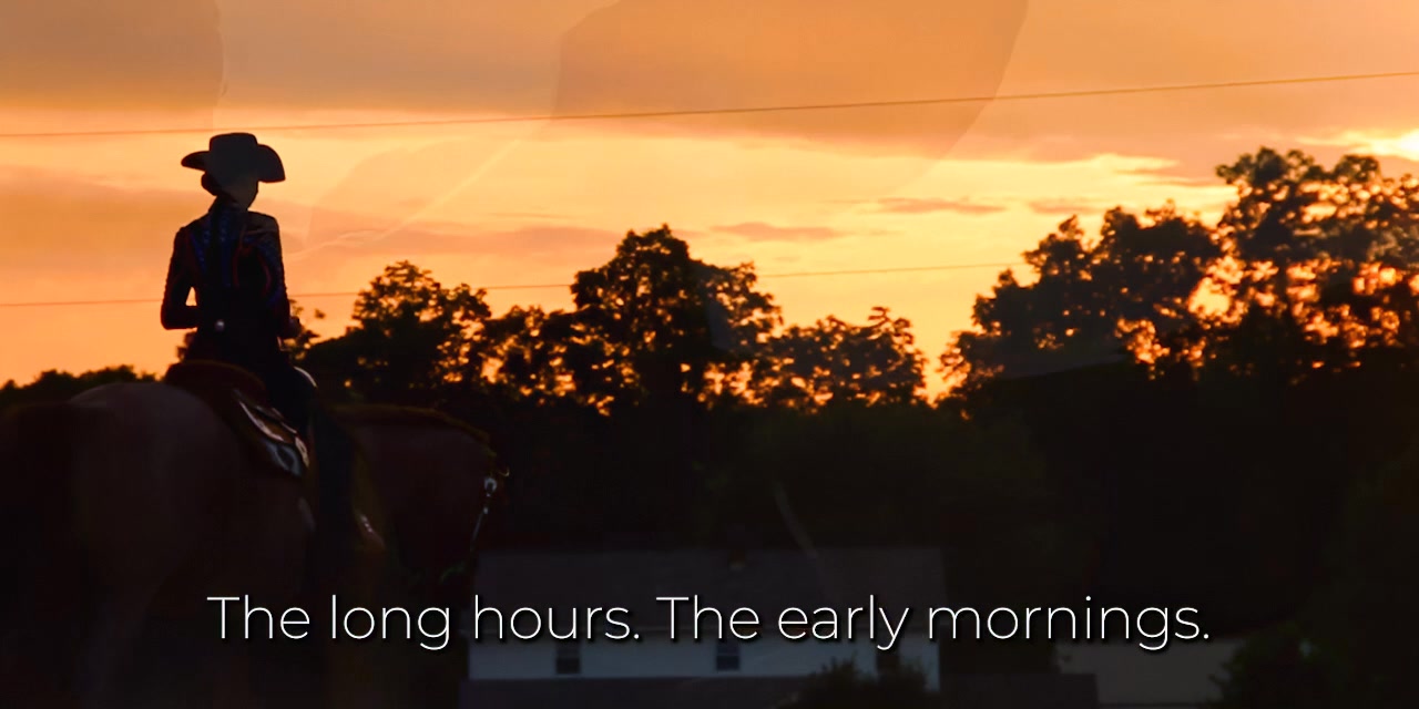 Schneider Saddlery Facebook ad: Experts in Comfort-First Tack & Horse Supplies for…