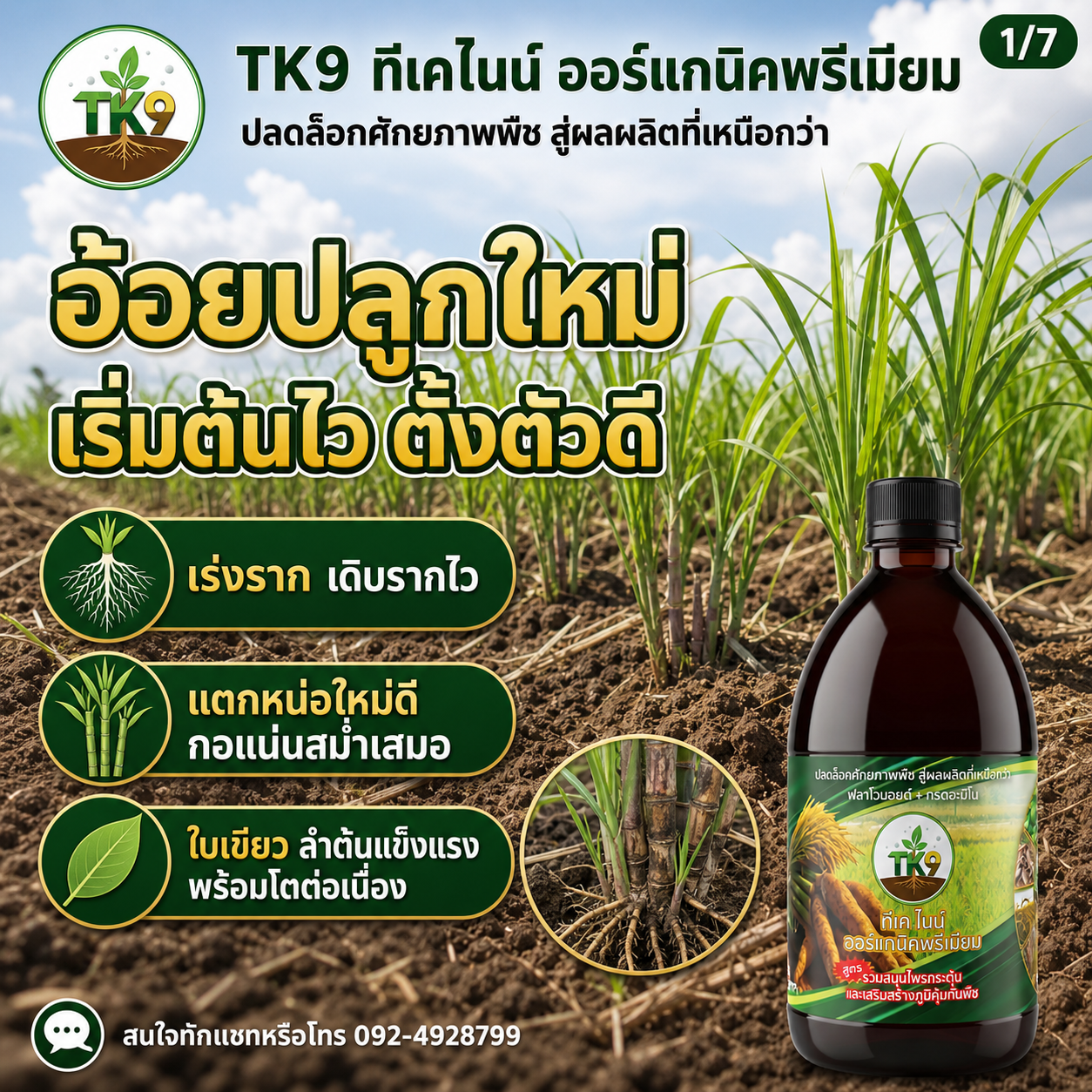 Tk9 ทีเคไนน์ ออร์แกนิคพรีเมียม นวัตกรรมสารสกัดจากธรรมชาติ เพื่อเกษตรกรไทย Facebook ad
