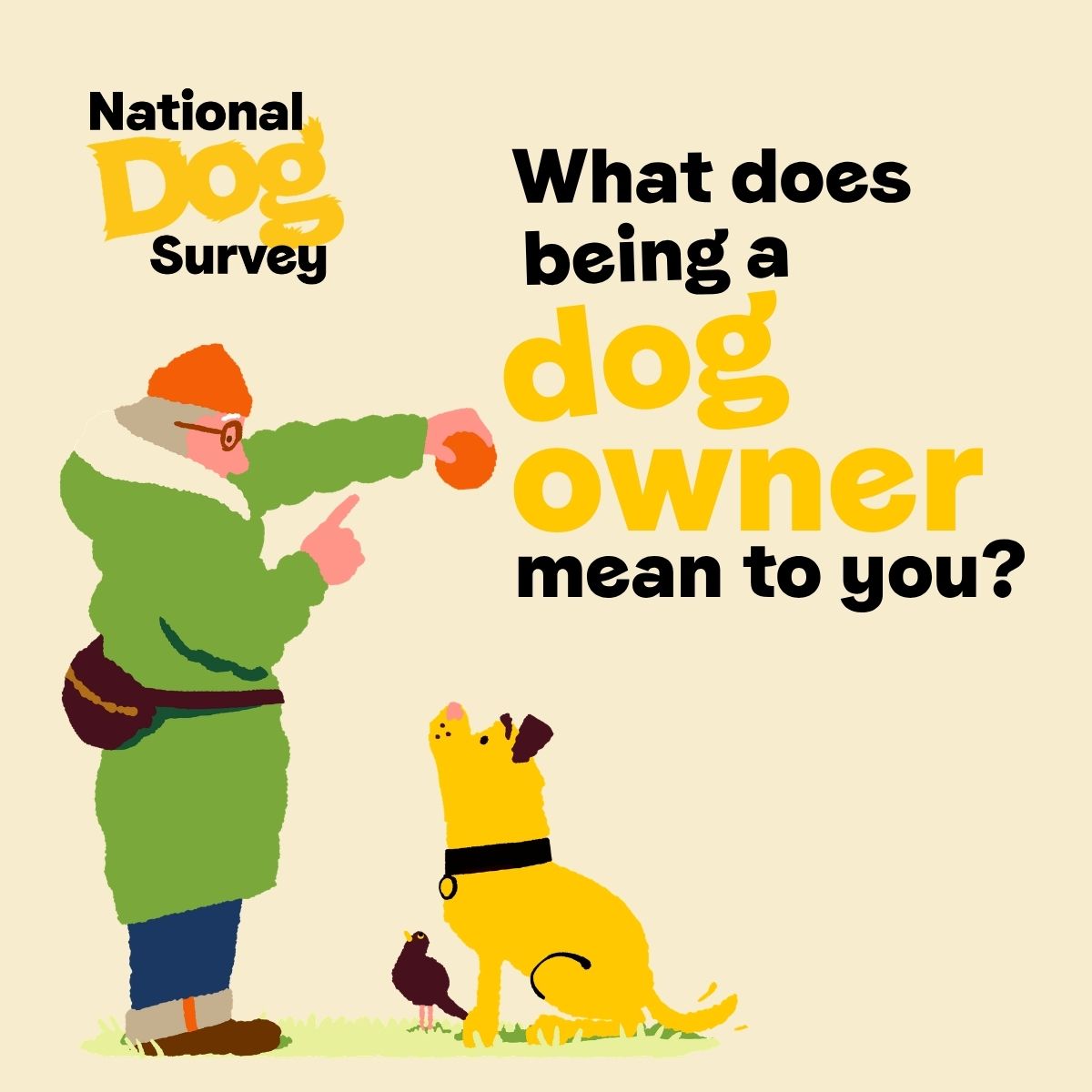 Dogs Trust Facebook ad
