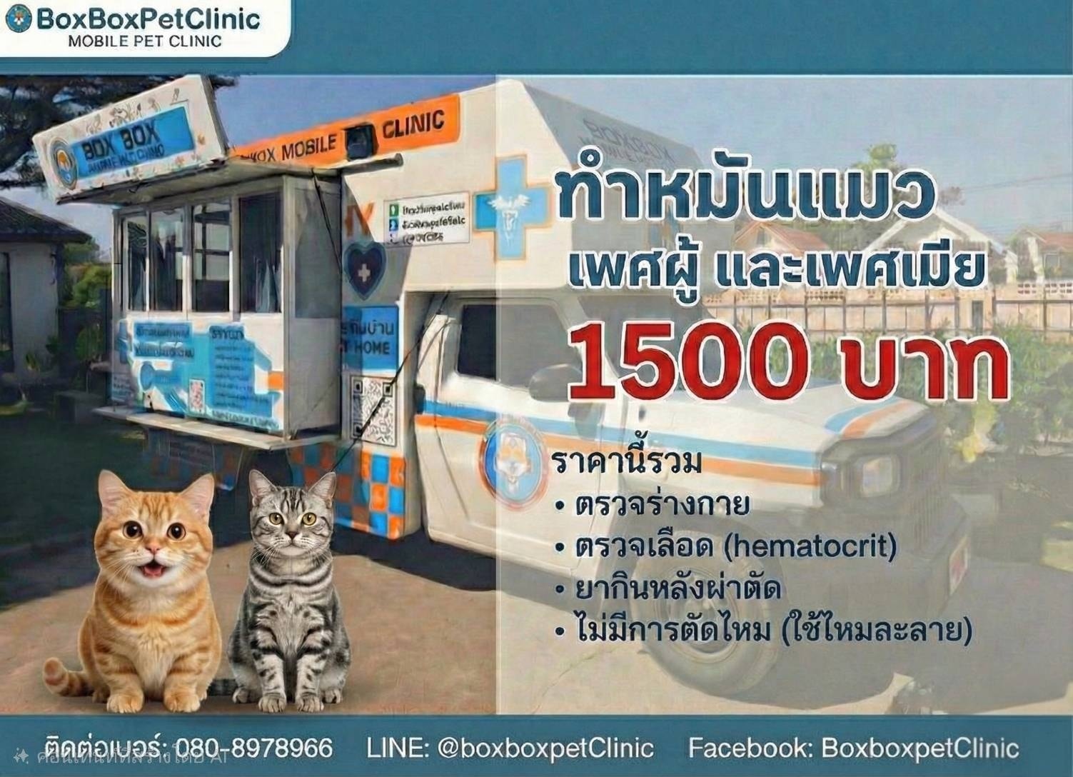 Box Box Pet Clinic Facebook ad