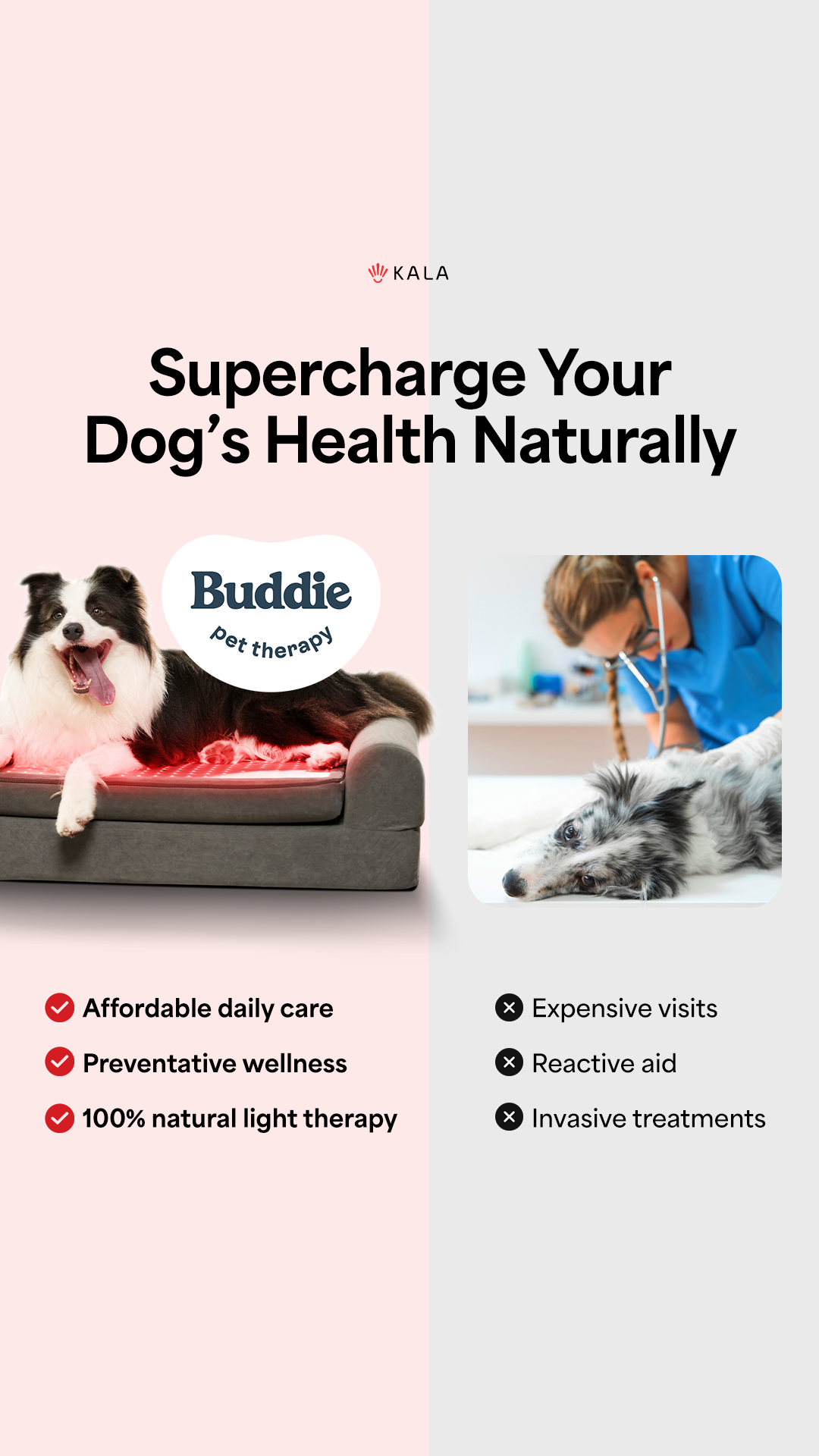 Buddie Pet Therapy Facebook ad