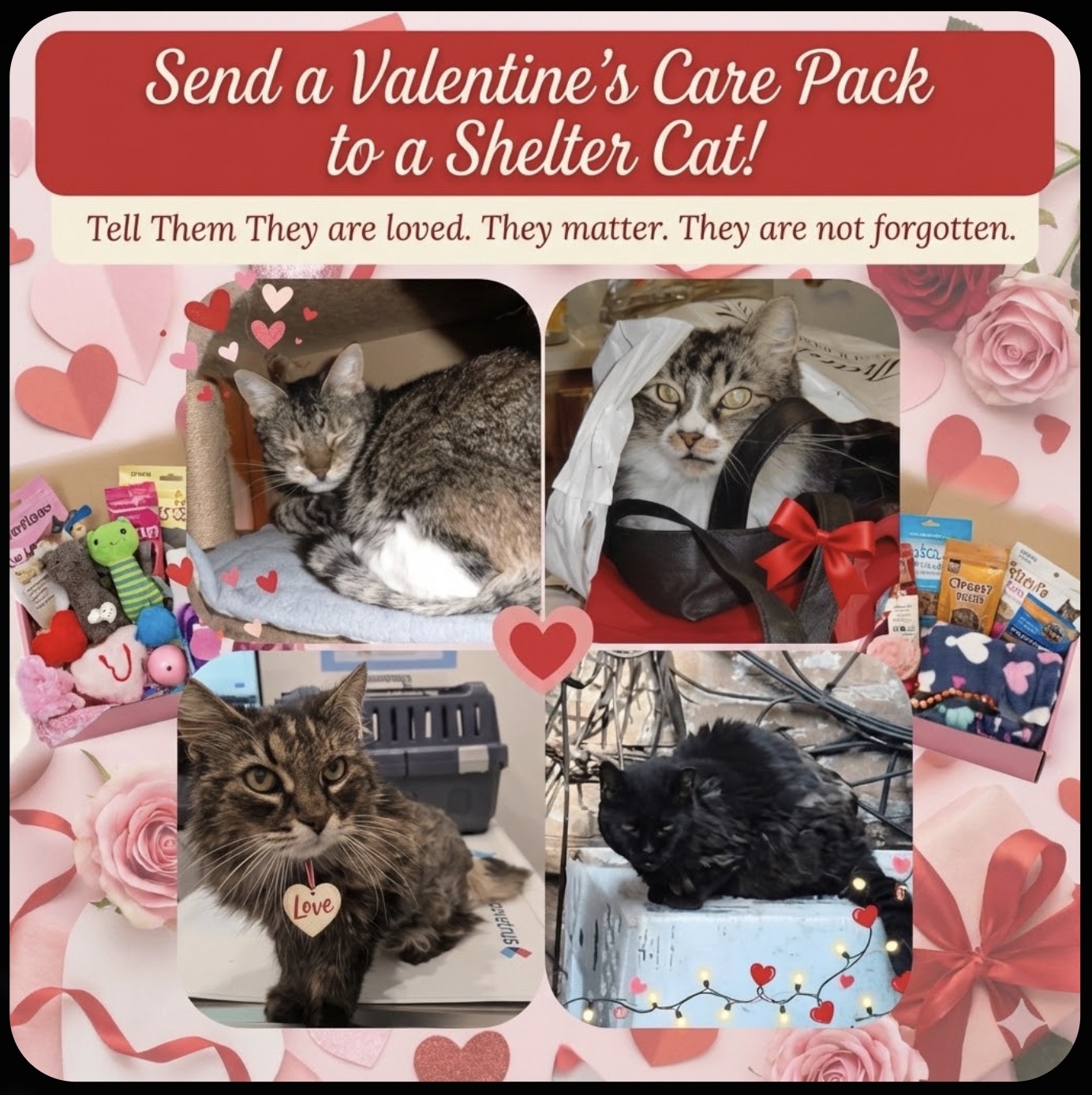 iHeartCats.com Facebook ad
