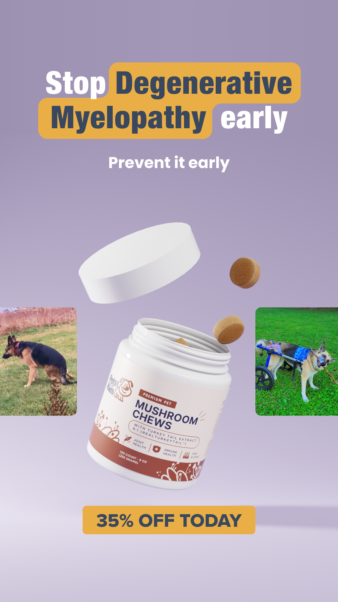 Pets Are Kids Facebook ad