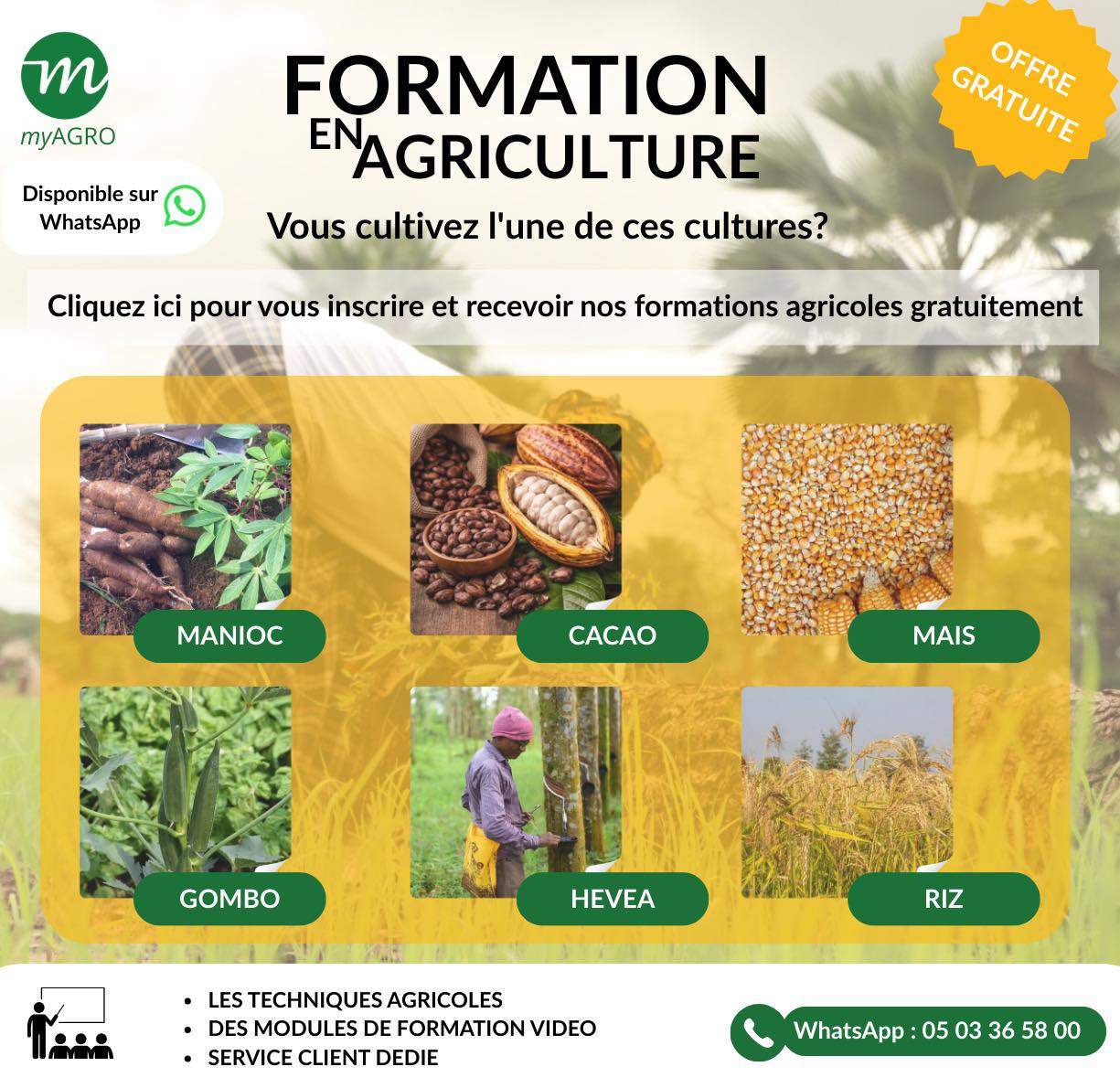 MyAgro CI Facebook ad: Vous cultivez le manioc, le cacao, le maïs…