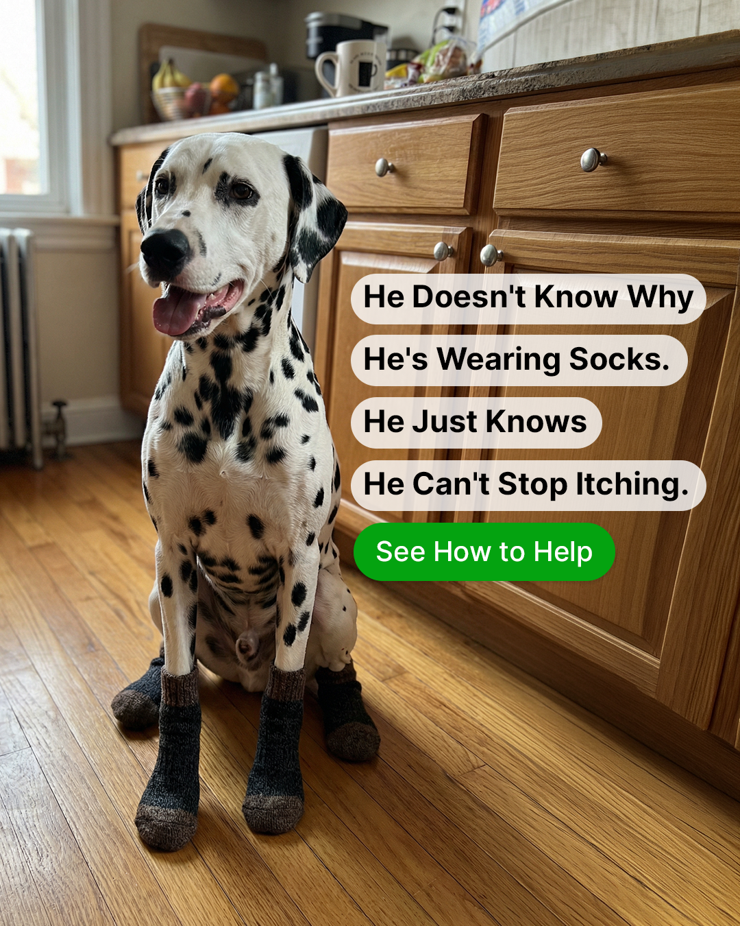 PetLab Co. Facebook ad