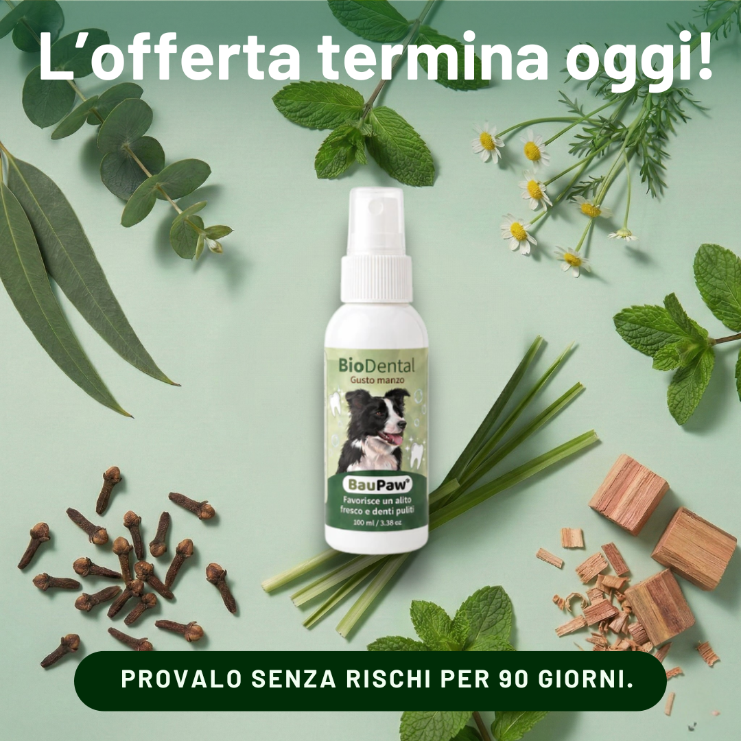Amici a 4 Zampe Facebook ad: 5 secondi al giorno. Niente più detartrasi.