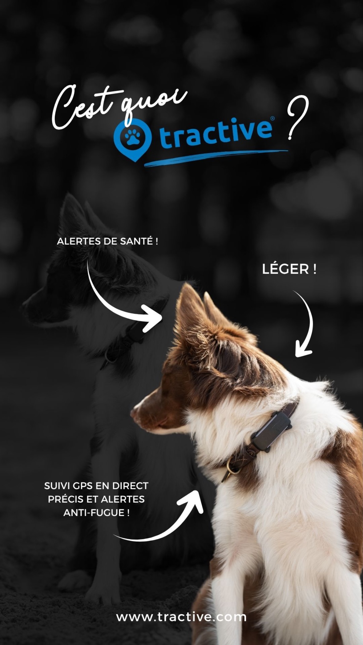 Tractive Facebook ad
