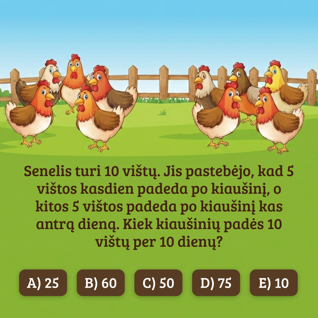 Digiklasė - by Memby Facebook ad