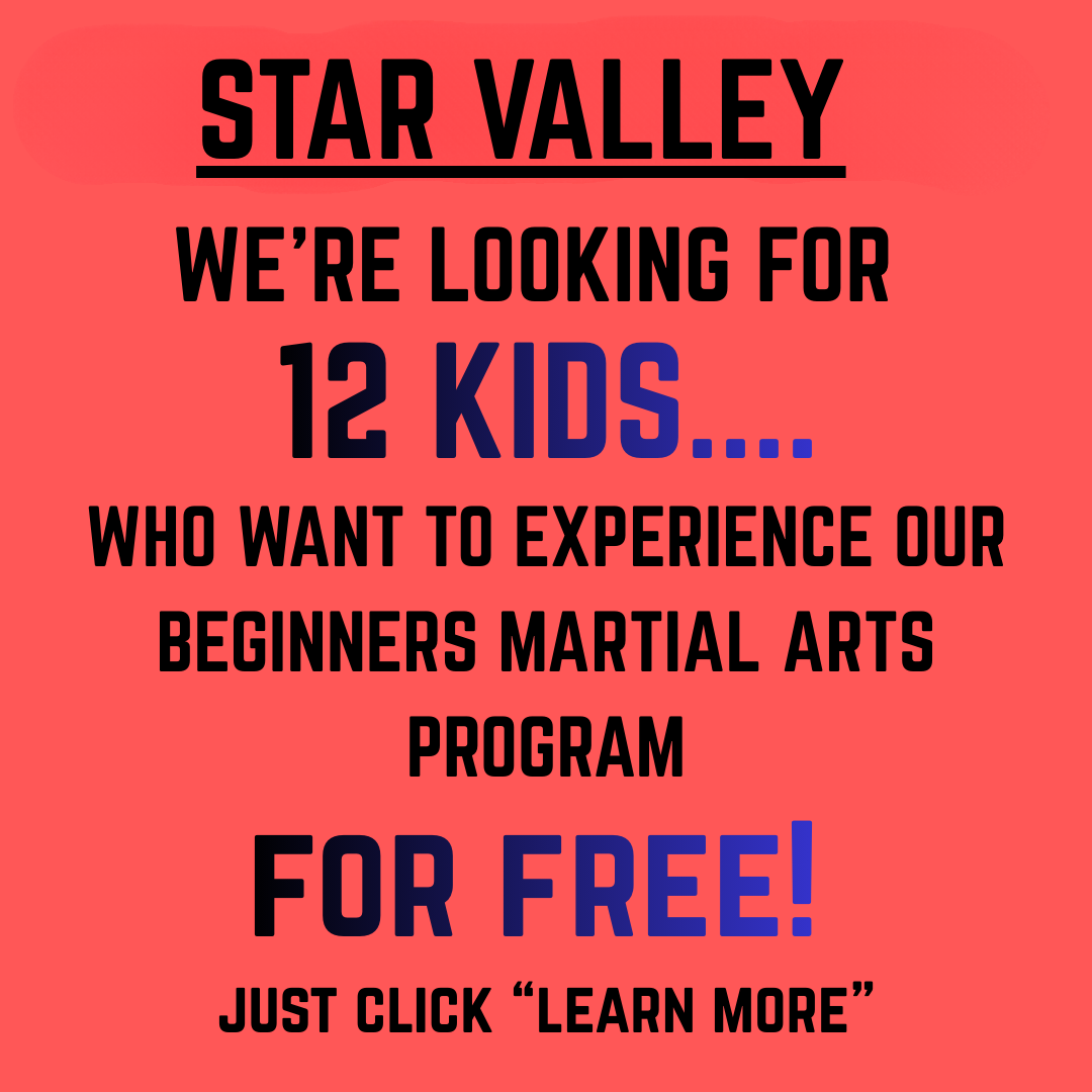 Peak Fitness BJJ Facebook ad
