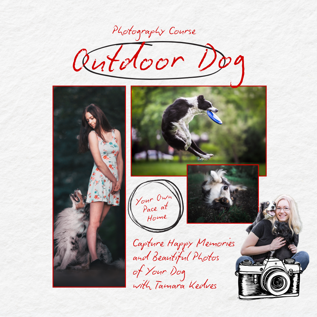 Expert Photography Facebook ad