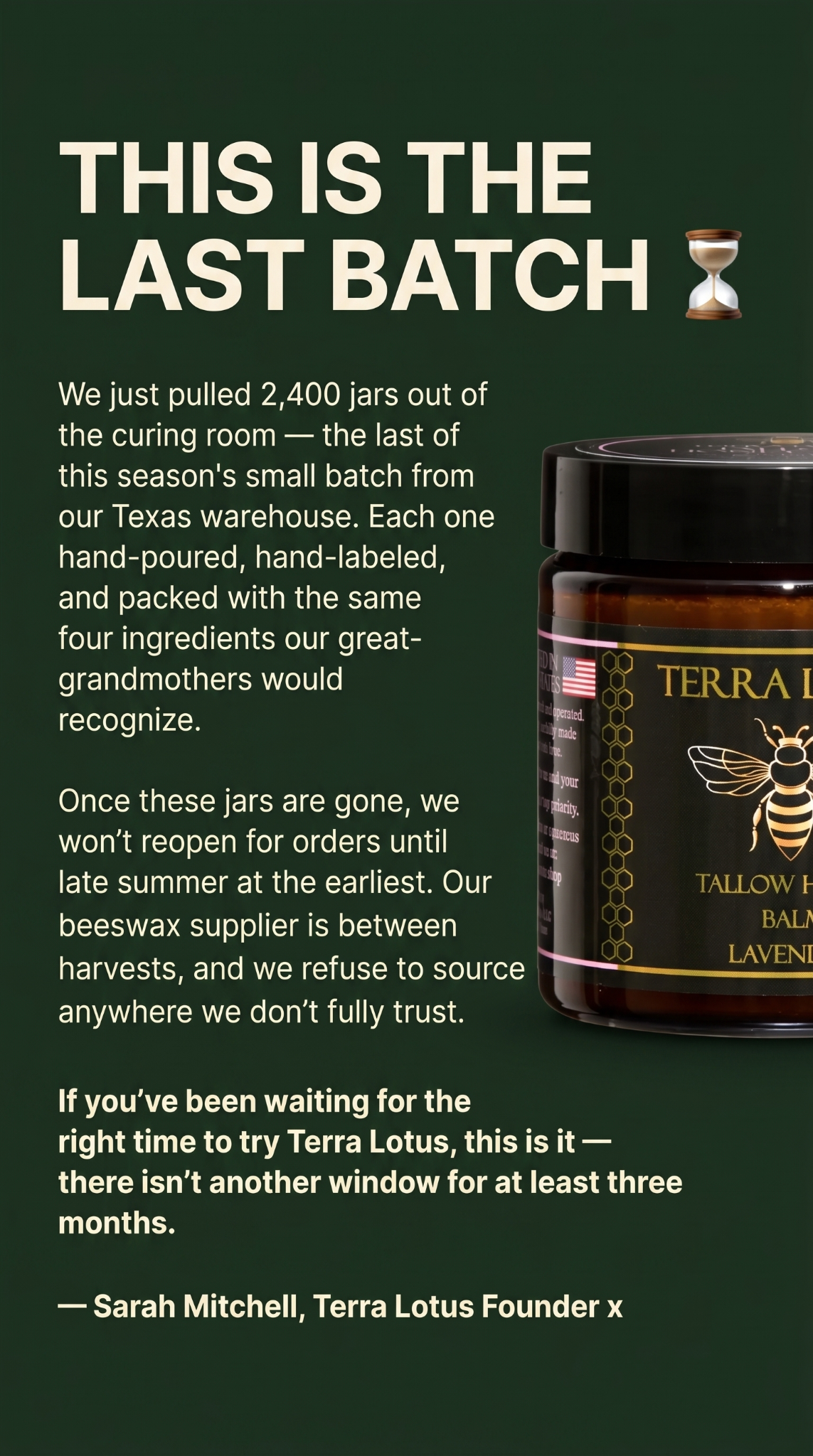 Terra Lotus Facebook ad