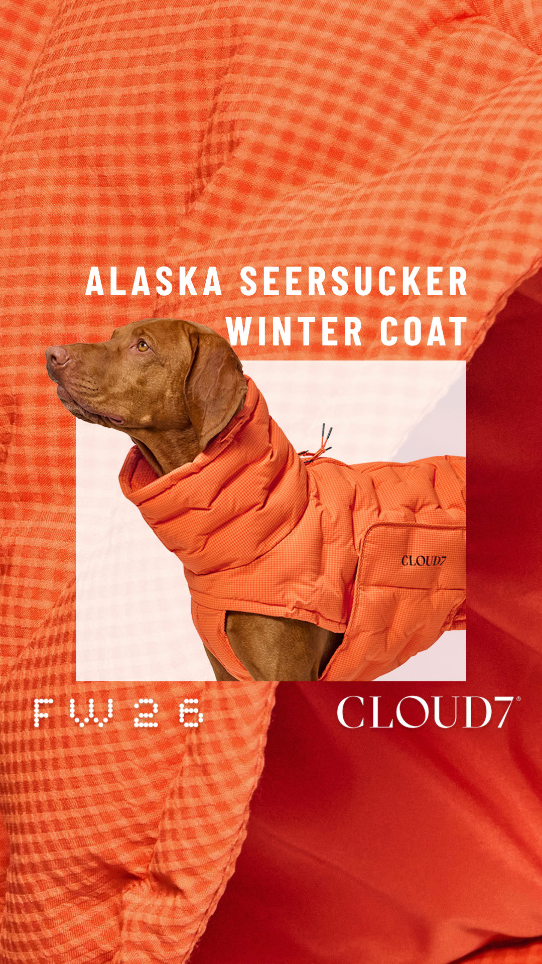 Cloud7 Facebook ad: Weather worth walking through