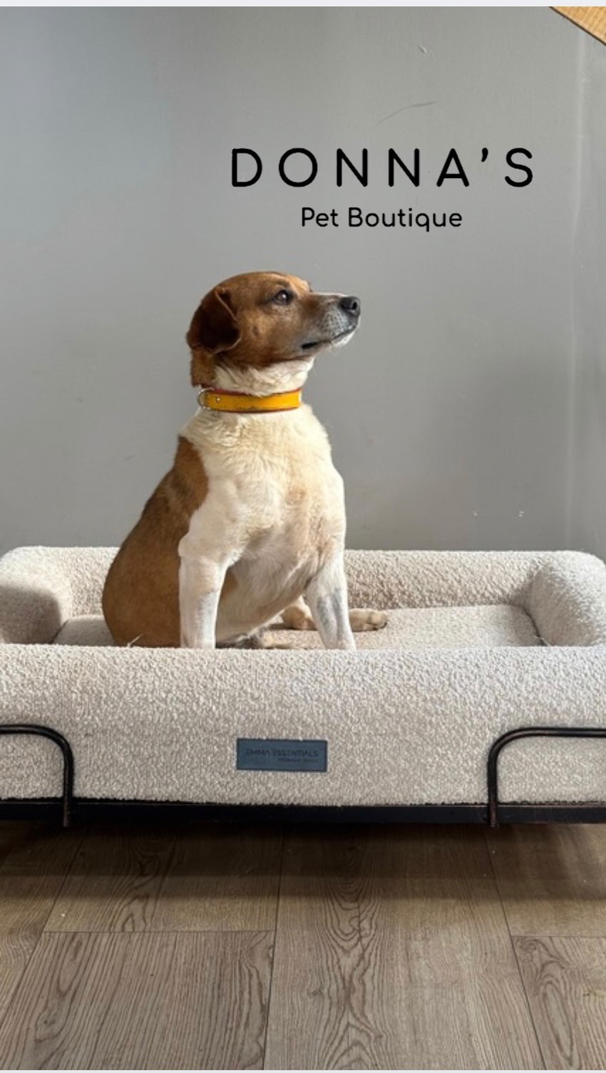 Donna's Pet Boutique Facebook ad: No quería terminar el mes sin agradecer a…