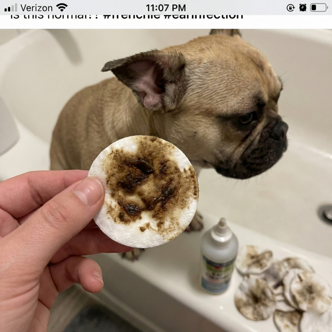 Nicole Krueger Facebook ad