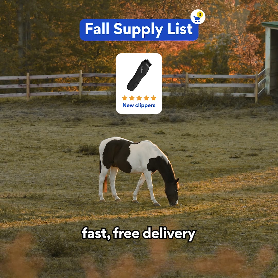 Chewy Facebook ad: Fall horse supplies