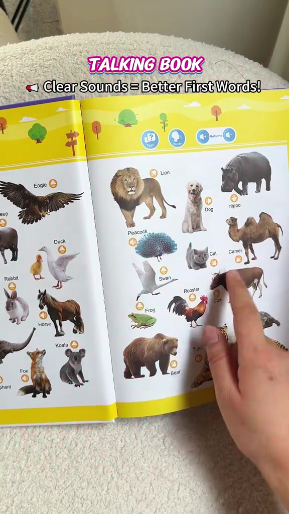 Tiny Dreams UK Facebook ad: #1 Talking Book