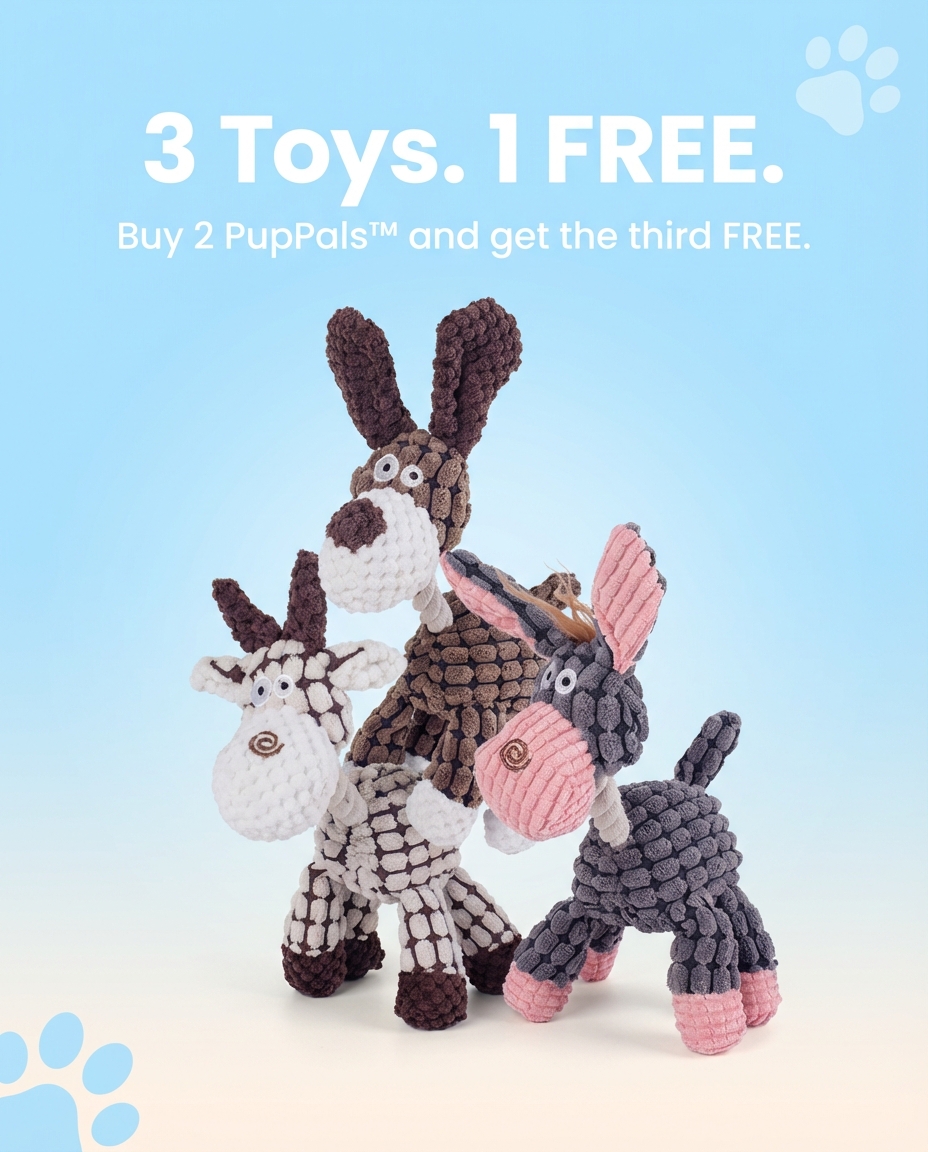 Woof n Floof Facebook ad: Buy 2 Get 1 FREE