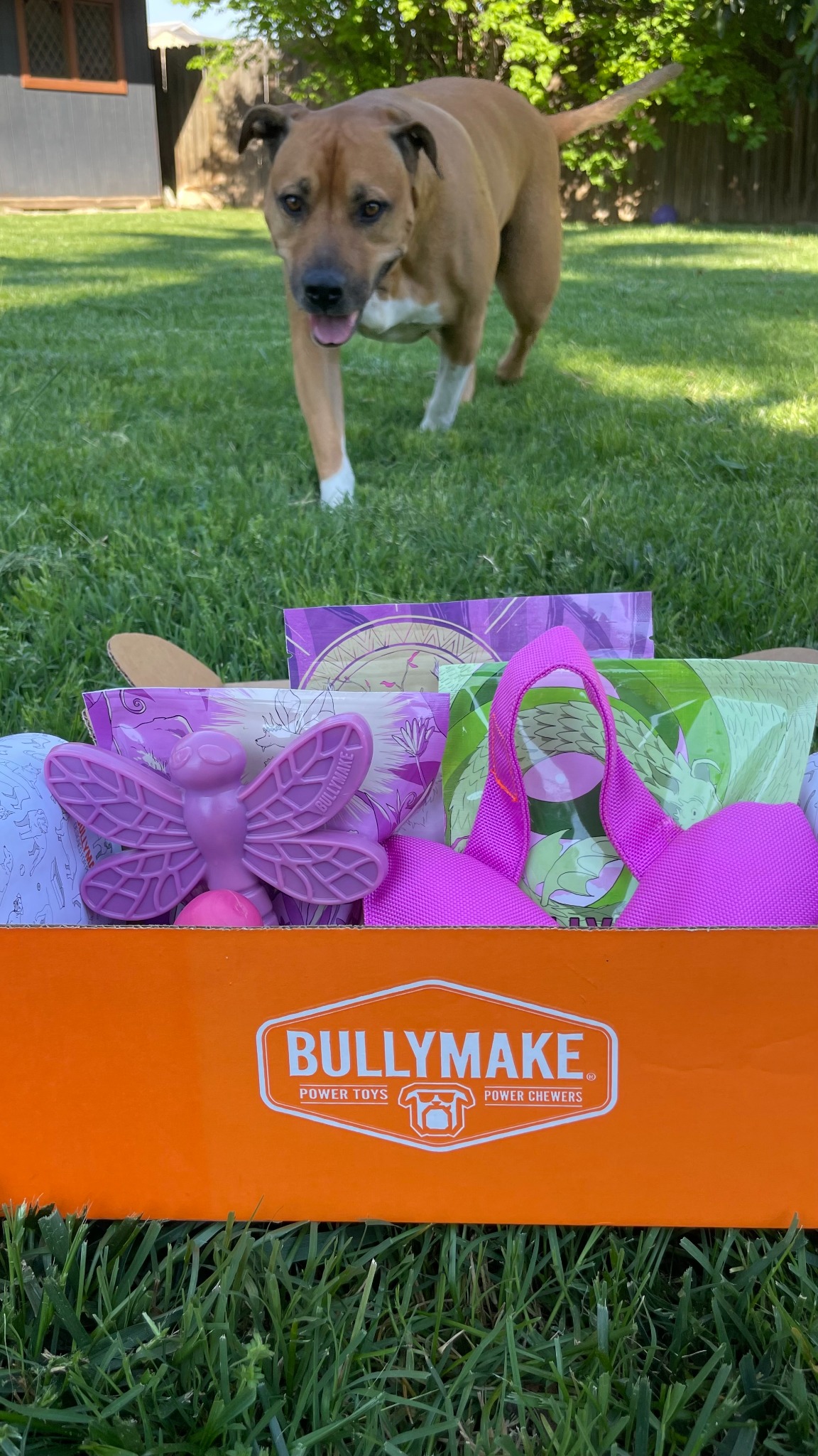 BULLYMAKE Facebook ad