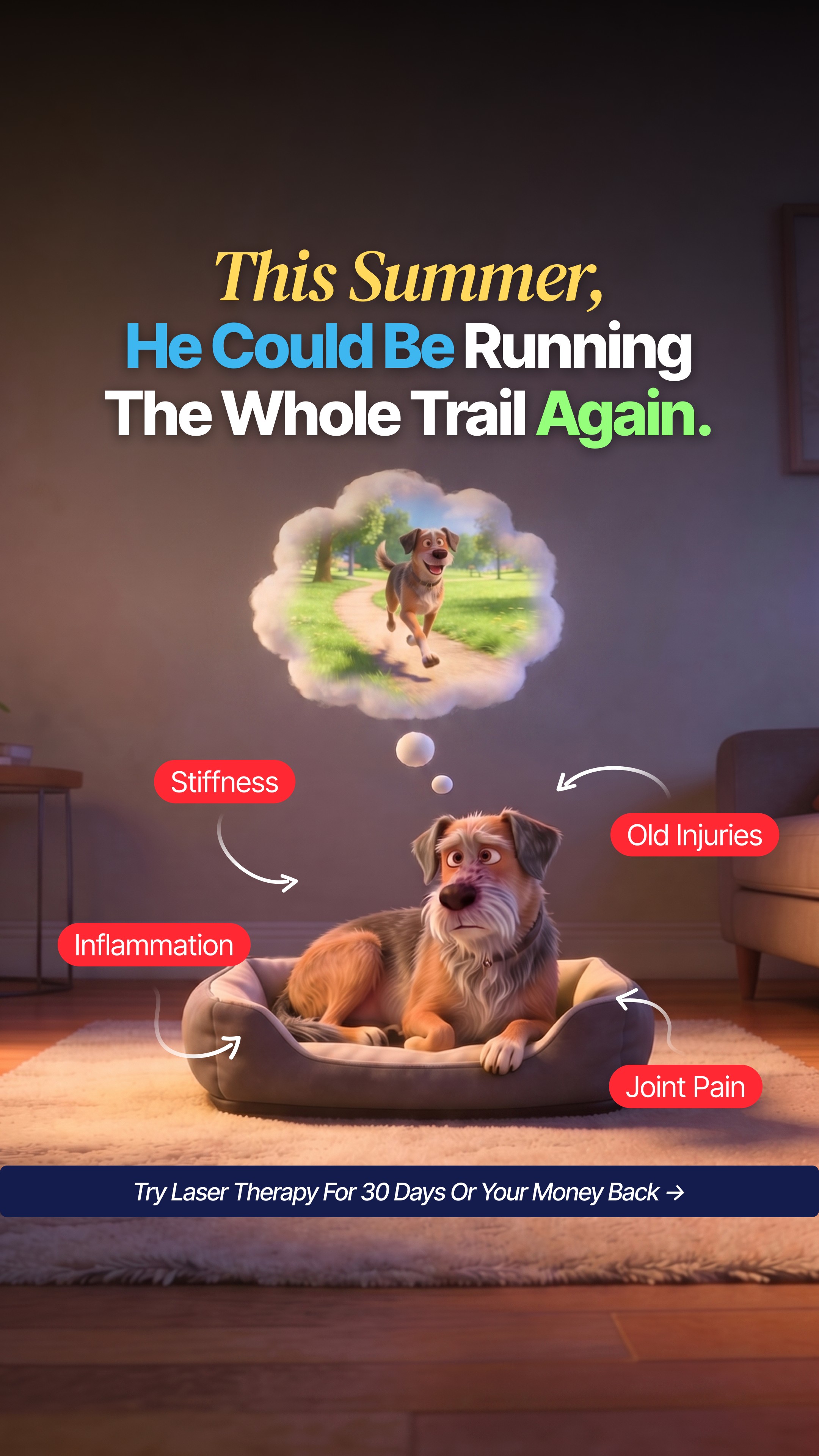 Helio Pet Facebook ad