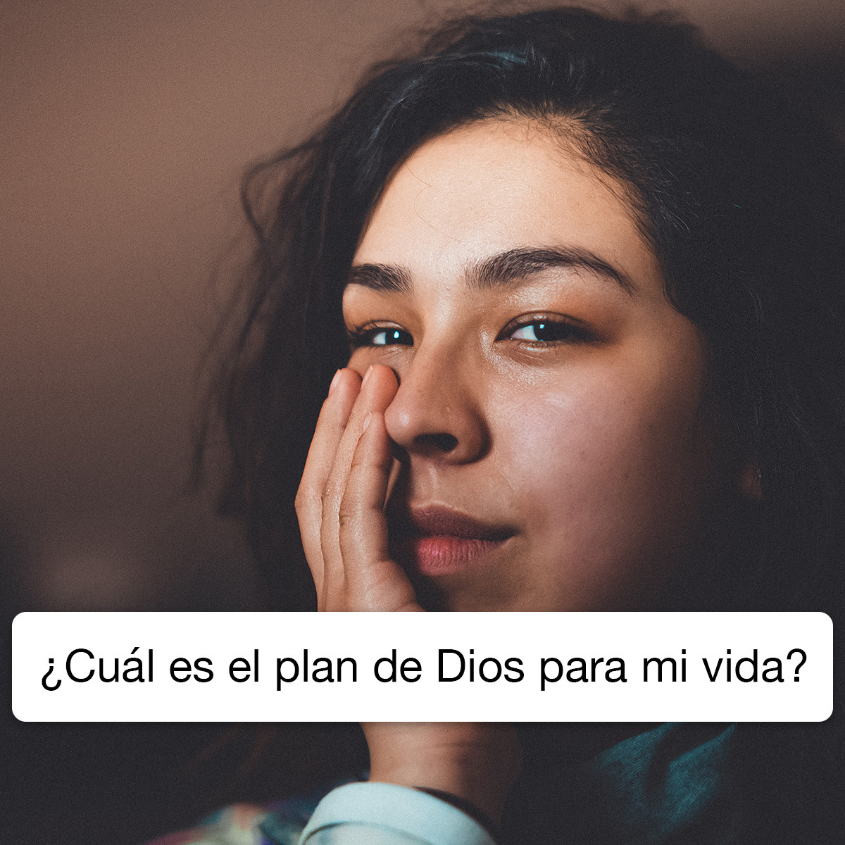 Palau Español Facebook ad