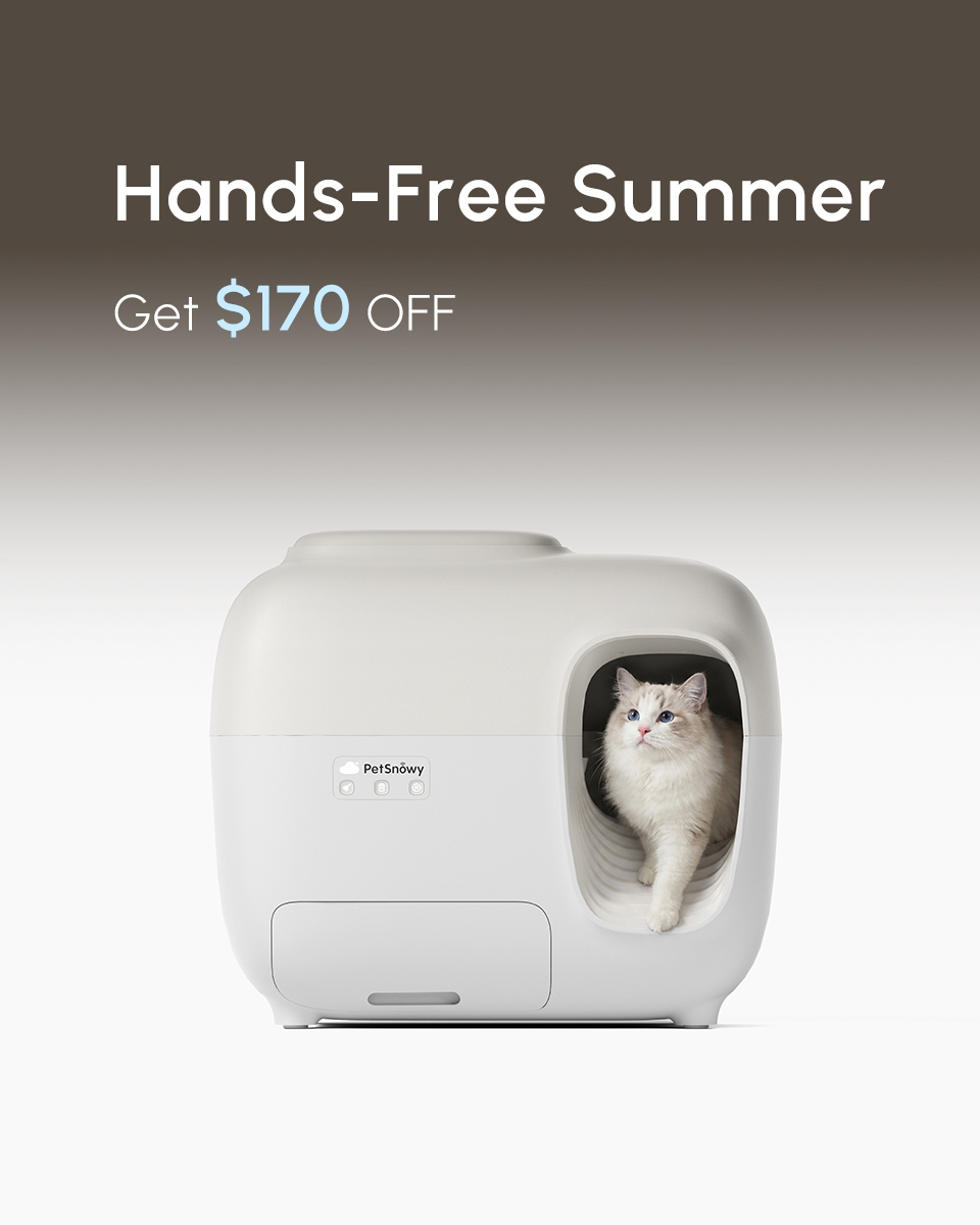PetSnowy Facebook ad