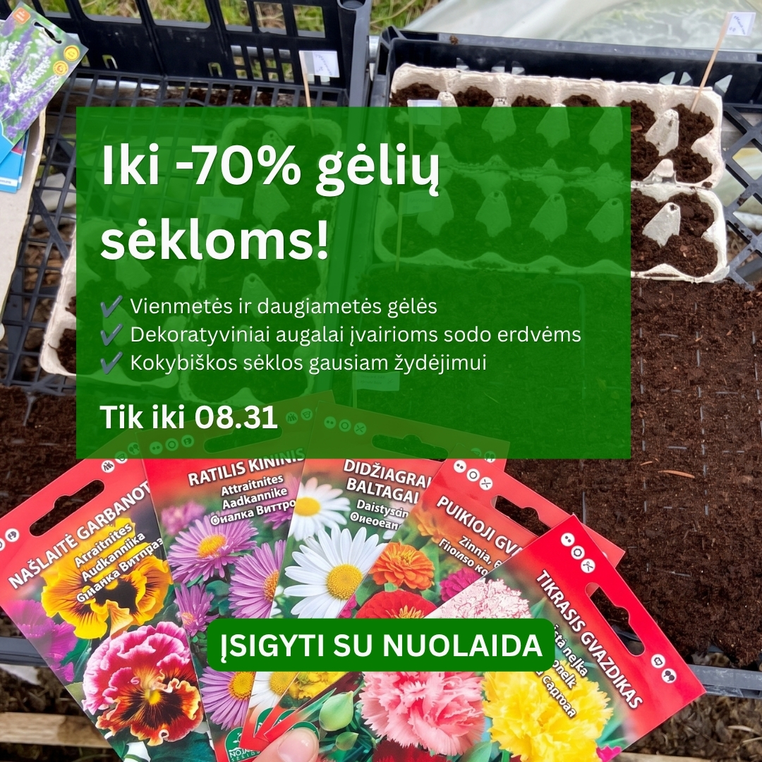Nojaus sėklos Facebook ad