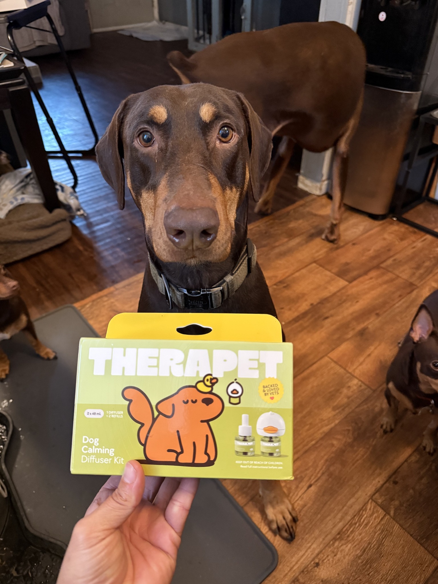Vet Life Magazine Facebook ad