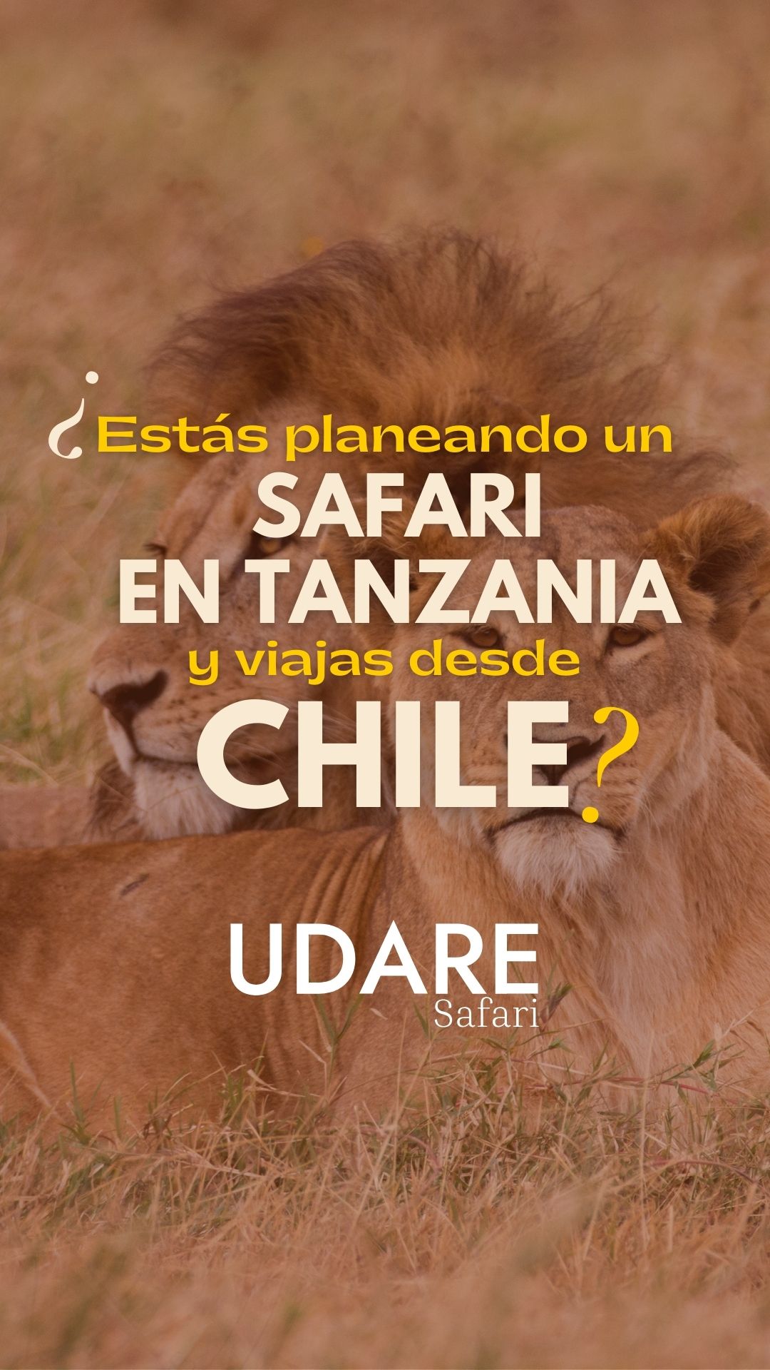 Udare Facebook ad: Siempre quisiste vivir la emoción de la sabana…
