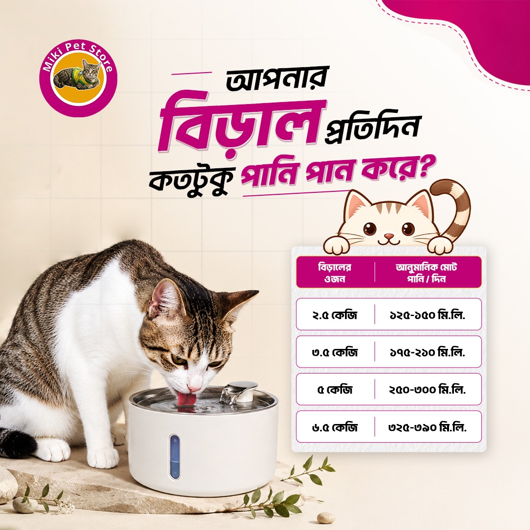 Miki Pet Store Facebook ad: প্রতিদিন কি আপনার বিড়াল যথেষ্ট পানি পান করছে?