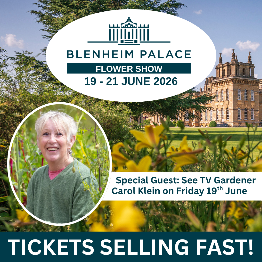 Blenheim Palace Flower Show Facebook ad