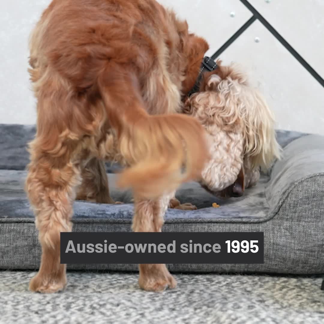 EzyDog Facebook ad: Aussie Owned since 1995