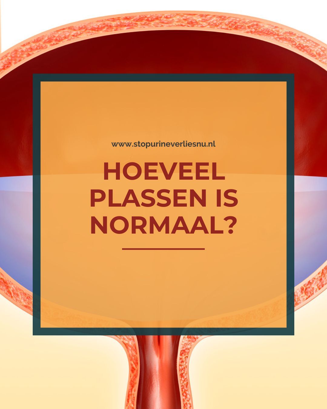 Stop Urineverlies Nu Facebook ad: Waarom moet ik zo vaak plassen?