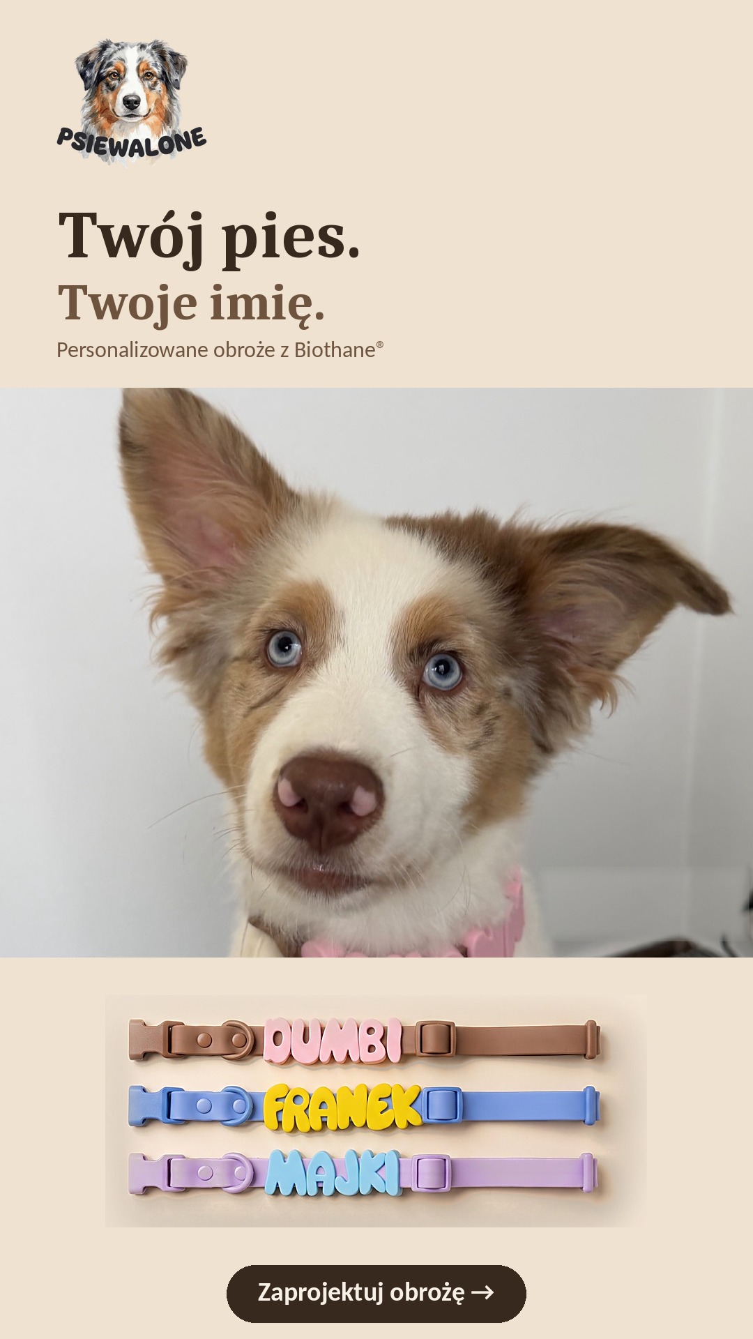 Psiewalone Facebook ad: Imię Twojego psa na obroży