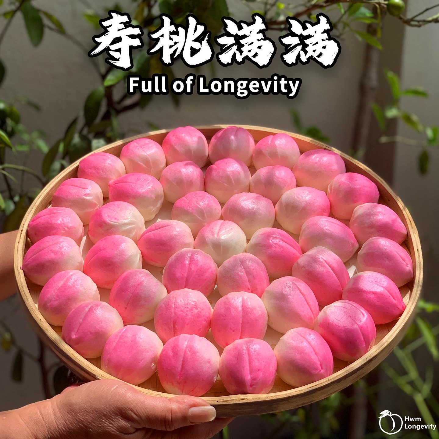 Hwm Longevity Facebook ad