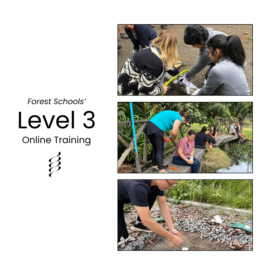 Forest Schools Facebook ad