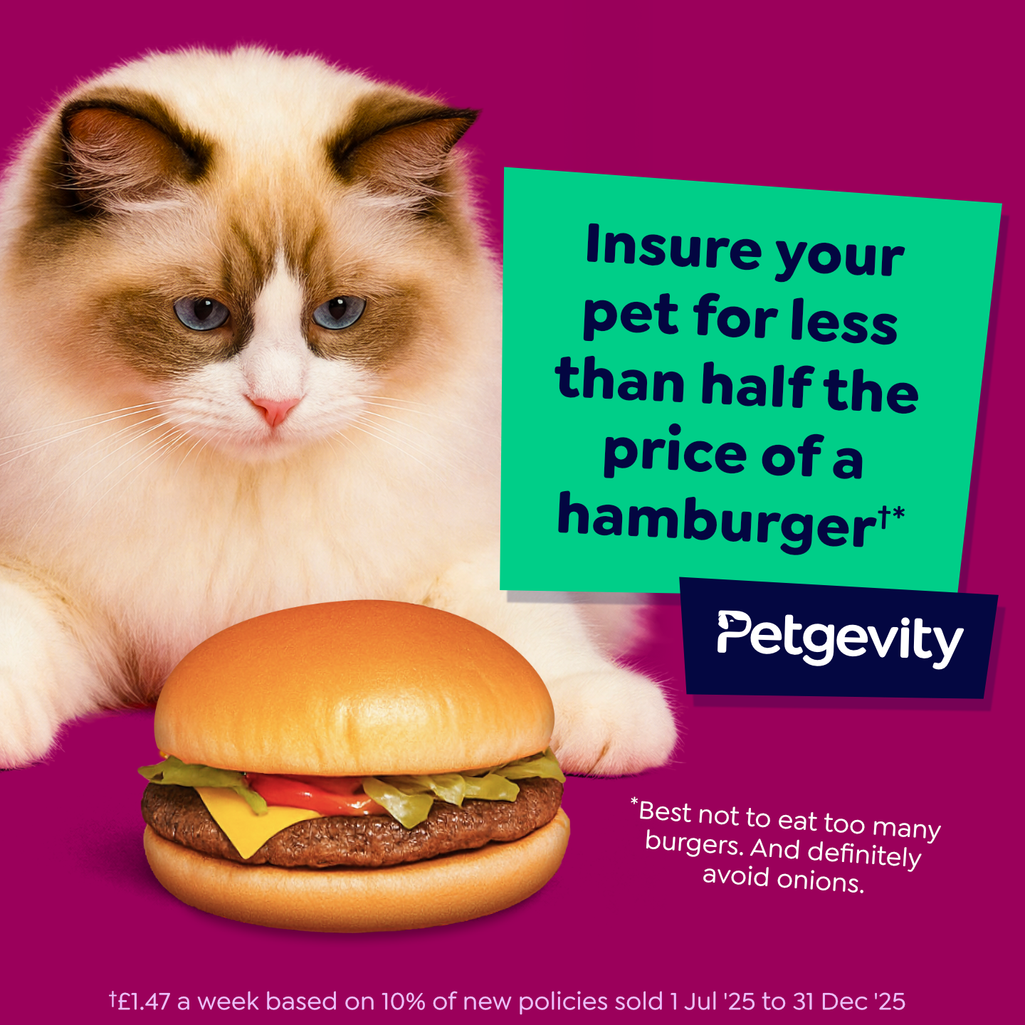 Petgevity UK Facebook ad: Lifetime Protection, for Less