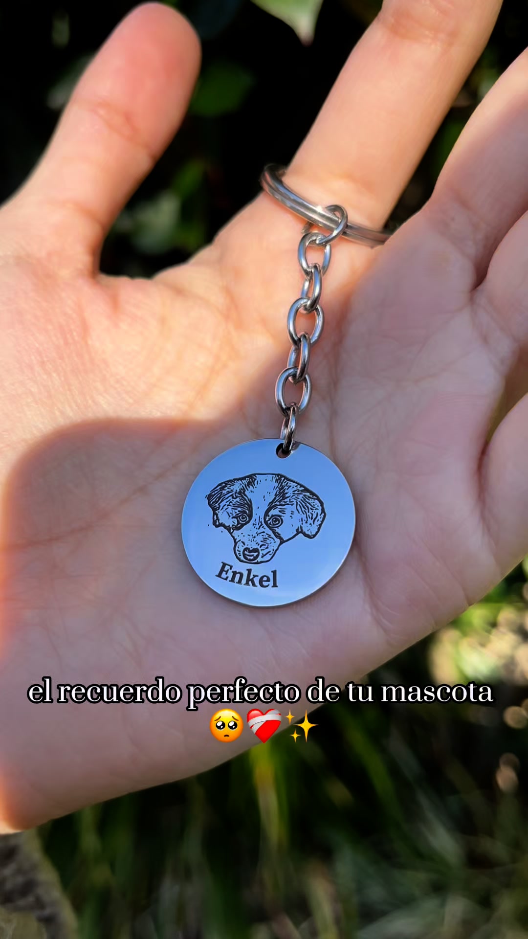 PetChic Facebook ad from Sep 12, 2025