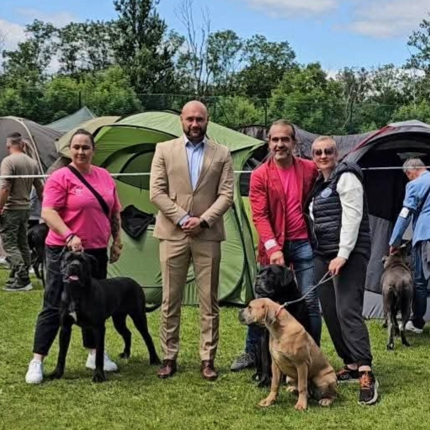 In Verto Corso kennel FCI, Hodowla PSÓW RASY CANE CORSO Italiano Facebook ad: CACIB BYTOM 14.06.2026
