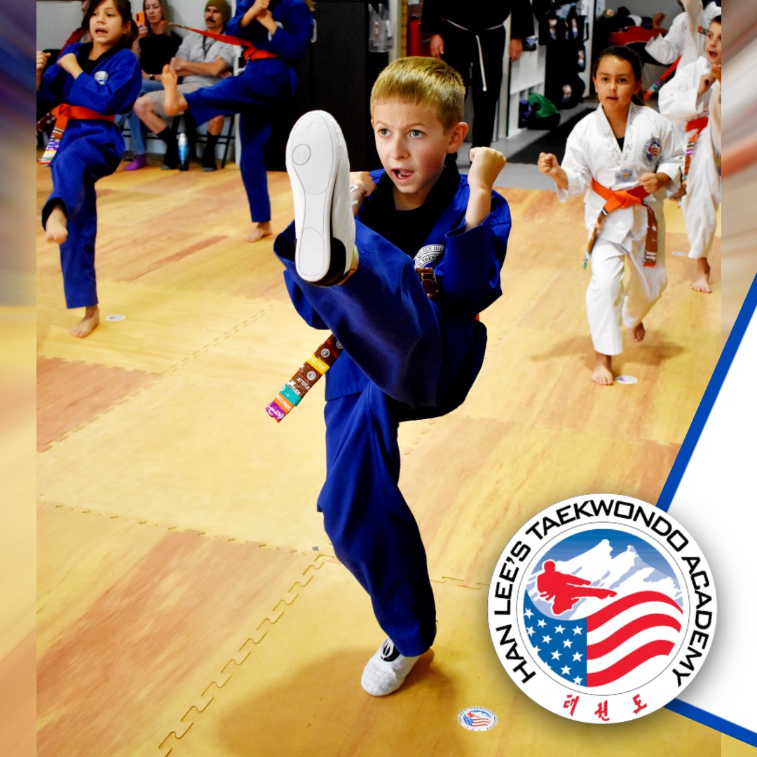 Han Lee's Taekwondo Academy Facebook ad