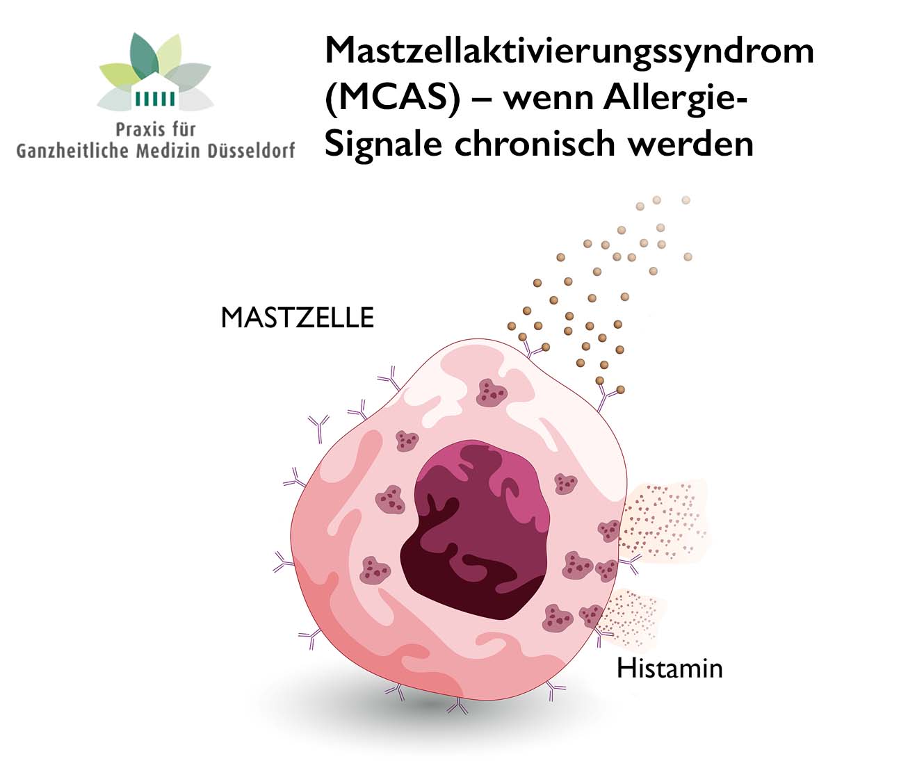 Praxis für Ganzheitliche Medizin Düsseldorf Facebook ad: Mastzellaktivierungssyndrom (MCAS), wenn Allergie-Signale…