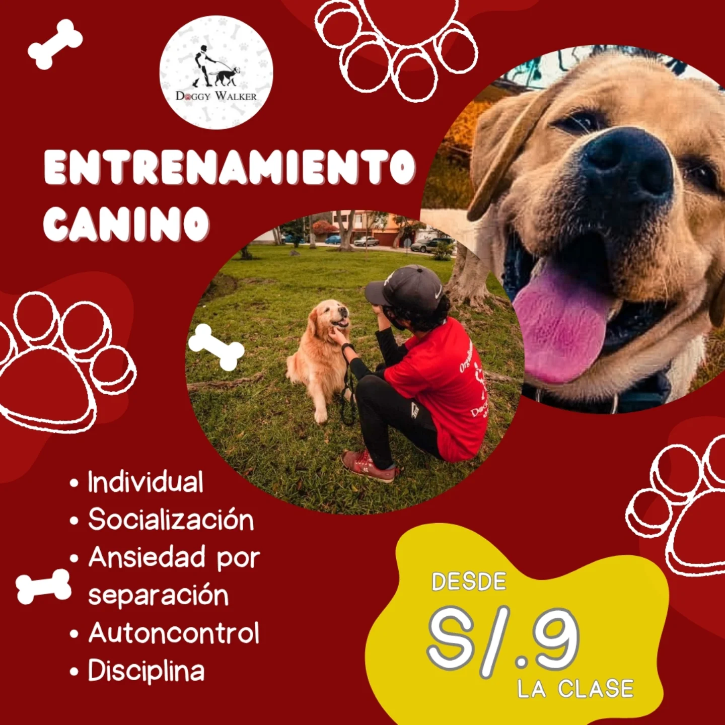 Doggy Walker Facebook ad