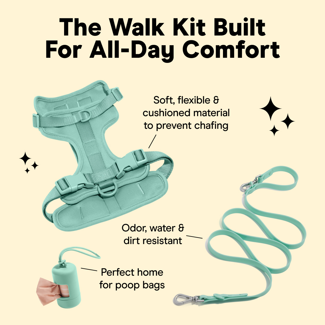 Wild One Facebook ad