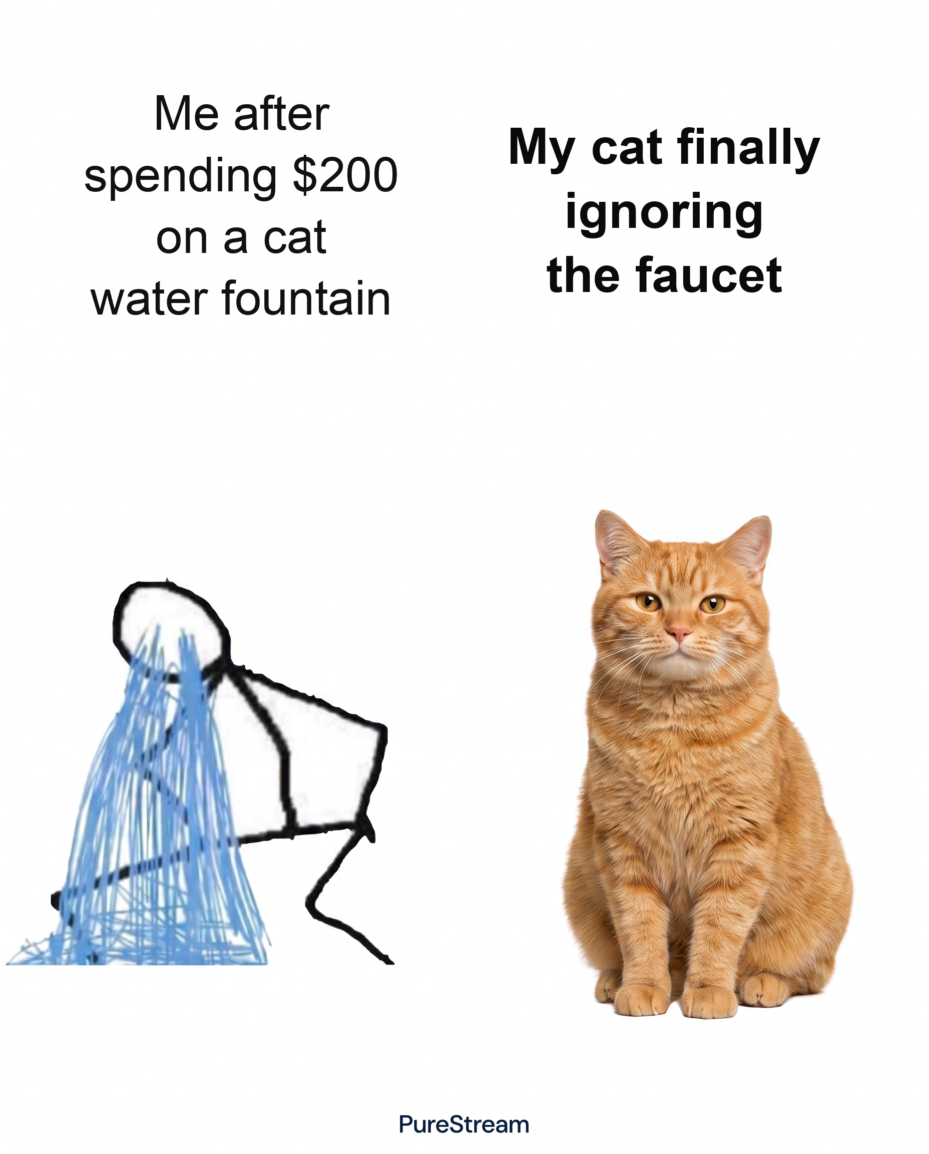 PureStream Facebook ad: No Filters. Ever. $0/Year.