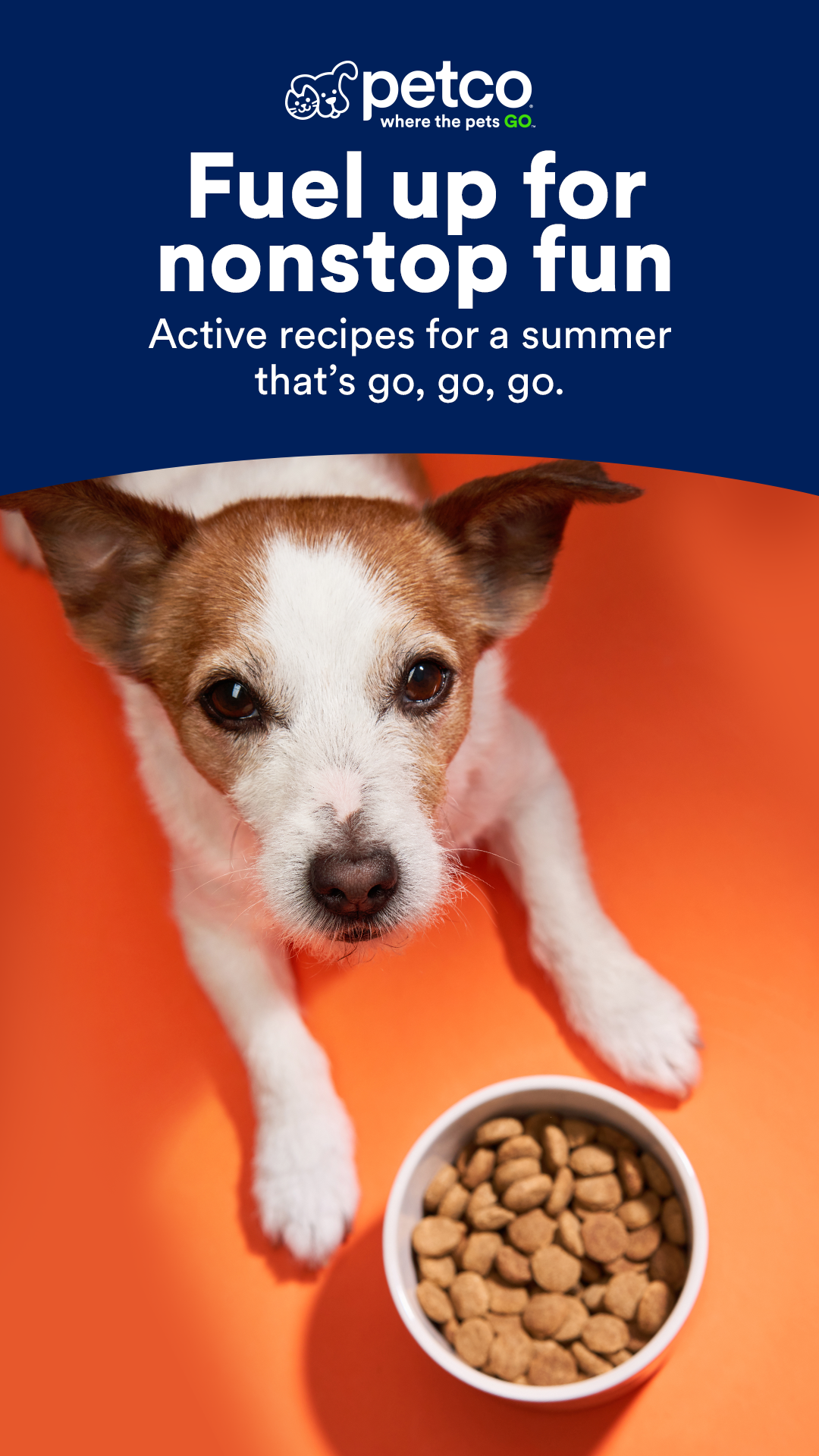 Petco Facebook ad