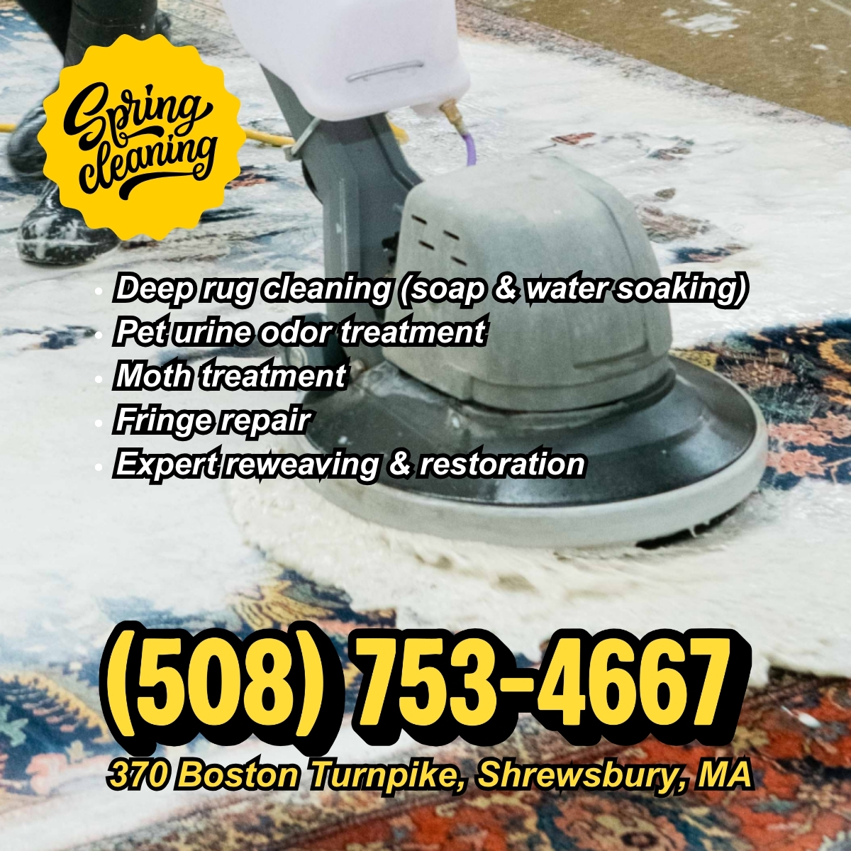 Persia Oriental Rug Gallery Facebook ad: Does your rug smell like your pet?